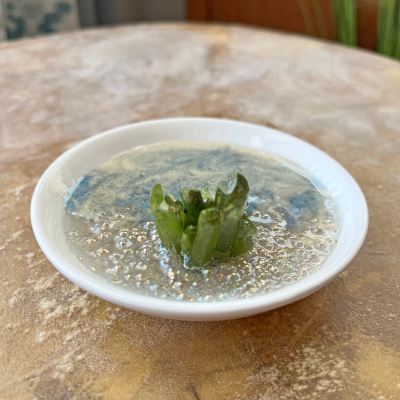 Ring Tray - TREE MOSS