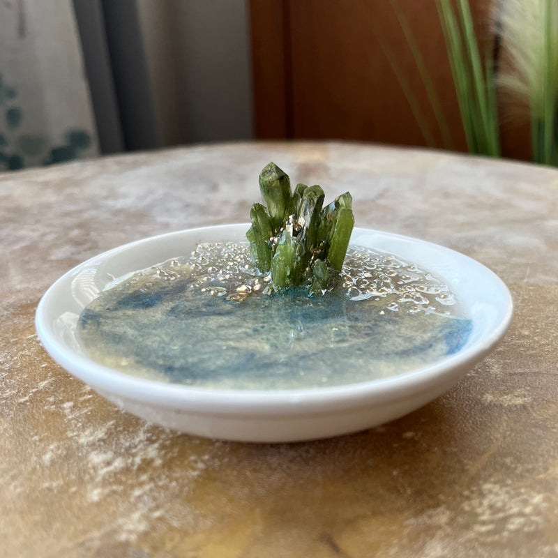 Ring Tray - TREE MOSS